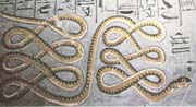 SERPENTE