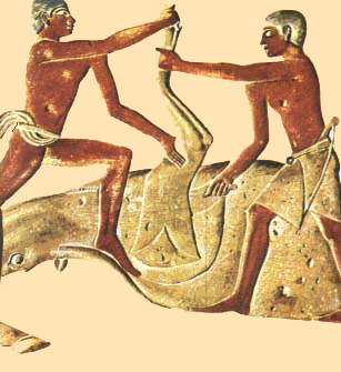 CARNICEIROS