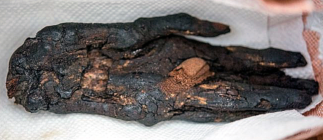 Mão da Múmia